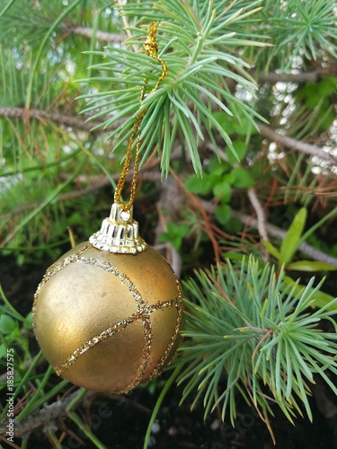 adorno navideño sobre ramas de pino mediterráneo