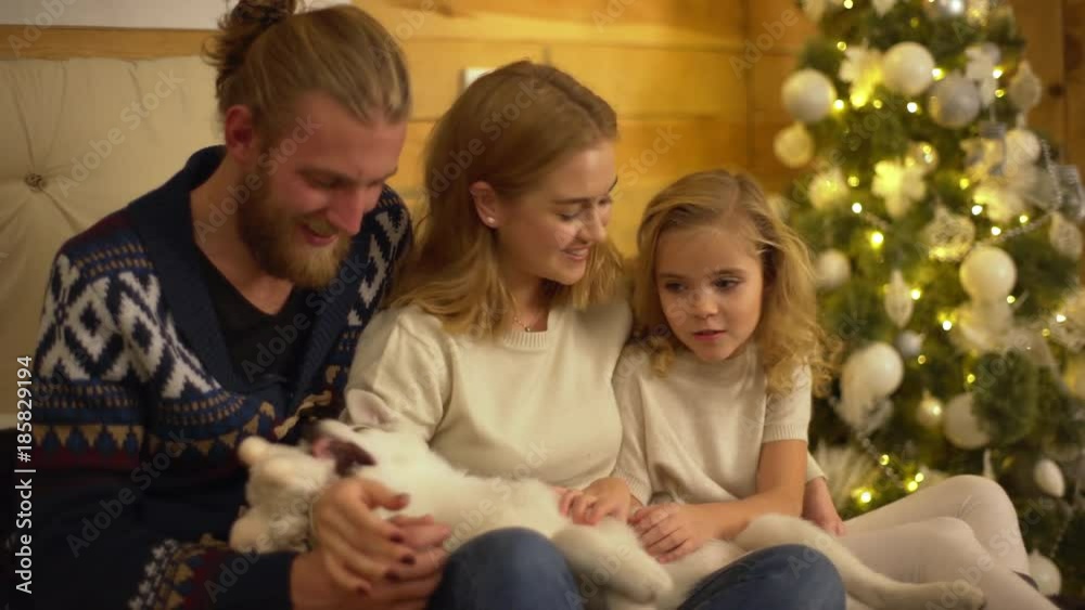 Splendid family of three person hugging each other and playing with little white husky dog sitting and petting puppy in bedroom near amazing Christmas tree Splendid family of three person hugging each other and playing with little white husky dog sitting and petting puppy in bedroom near amazing Christmas tree