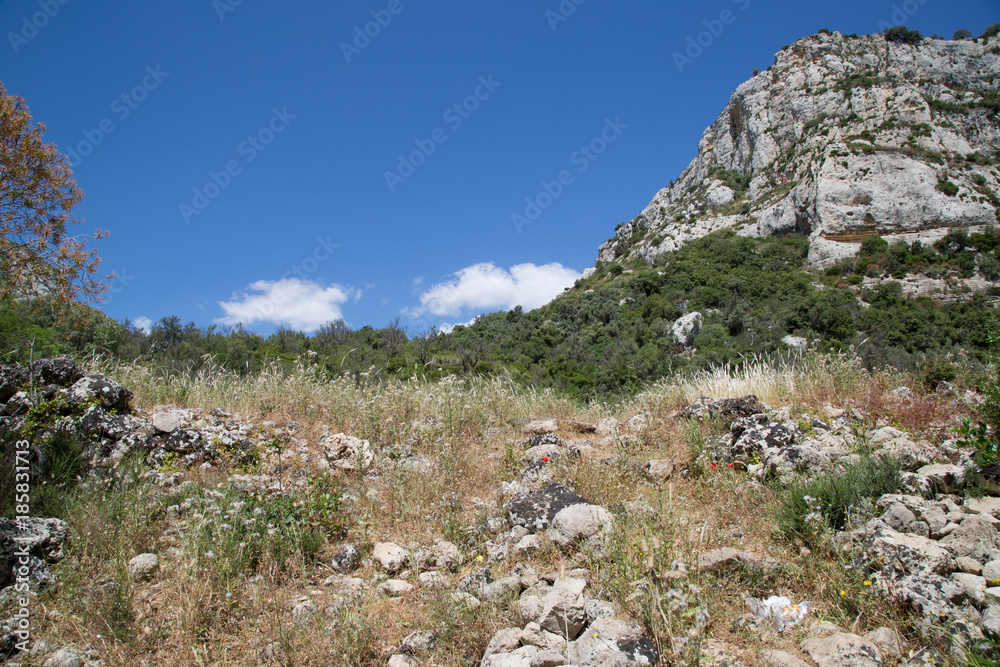 Sentiero, paesaggio, sulla sponda sinistra verso i laghetti, Riserva Naturale Orientata Cavagrande del Cassibile