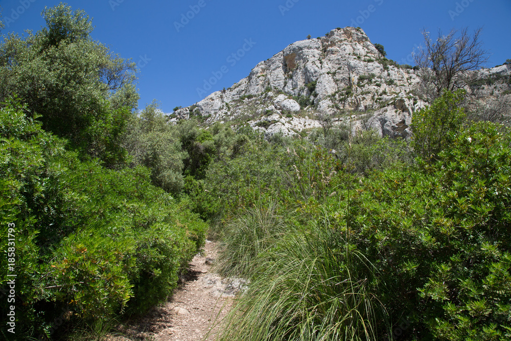Sentiero, paesaggio, sulla sponda sinistra verso i laghetti, Riserva Naturale Orientata Cavagrande del Cassibile Sentiero, paesaggio, sulla sponda sinistra verso i laghetti, Riserva Naturale Orientata Cavagrande del Cassibile