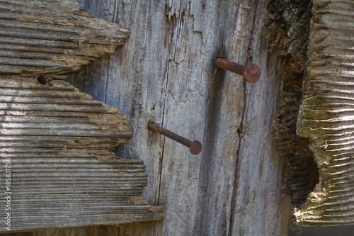 Wood and Nails Detail