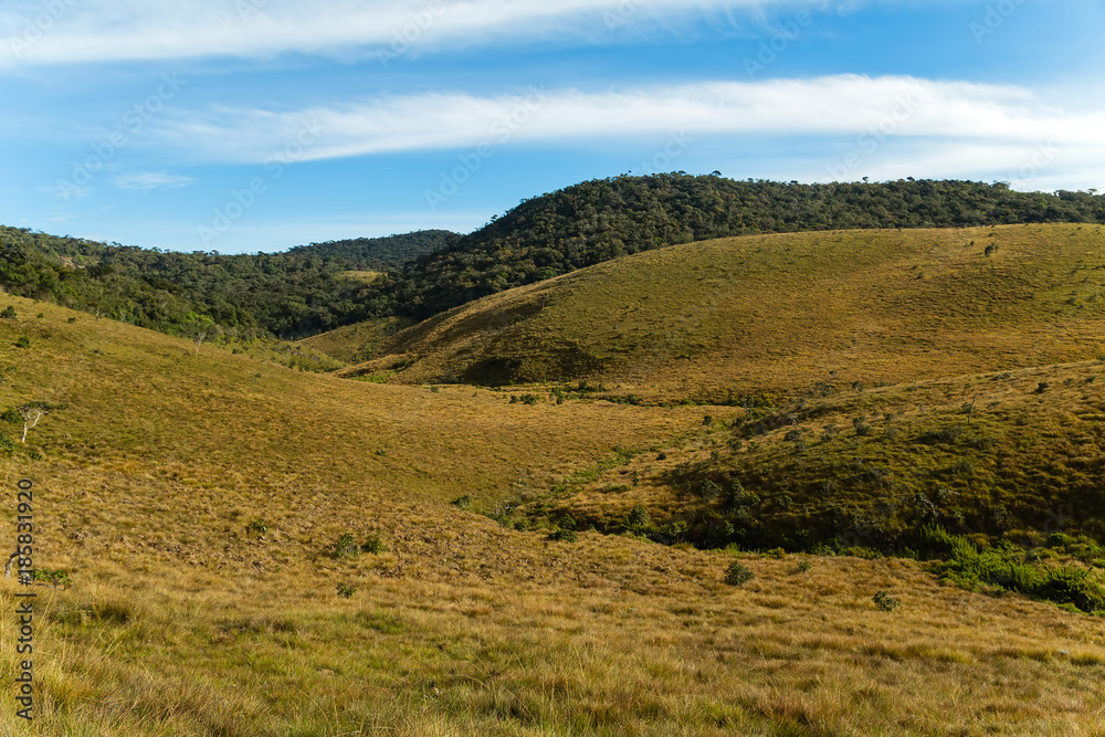 Wet grasslands & Sub-Montane and Montane forest Horton Plains National Park (Ohiya, Sri Lanka) Wet grasslands & Sub-Montane and Montane forest Horton Plains National Park (Ohiya, Sri Lanka)