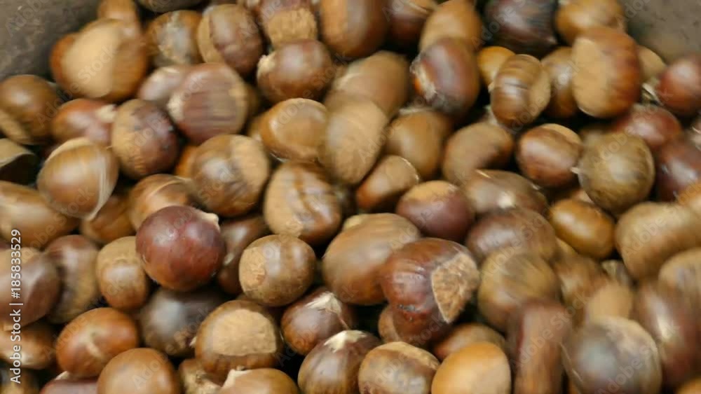 Chestnuts roasting machine full of hot Chestnuts Chestnuts roasting machine full of hot Chestnuts