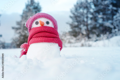 Little snowman girl in a pink knitted hat and a scarf on snow in the winter. Festive background with a lovely snowman. Christmas card, copy space © isavira