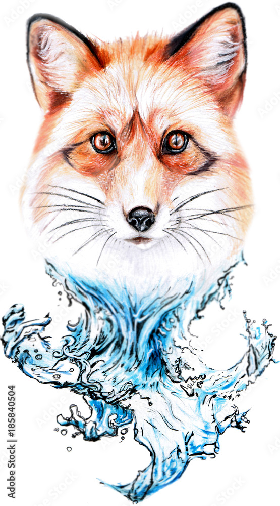 Obraz premium red fox and water