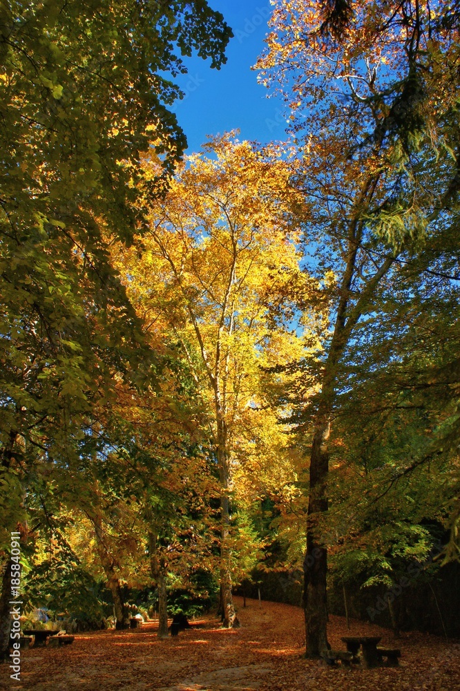 Autumn in the park...