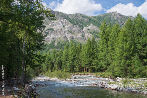 Beautiful summer landscape with mountains, forest and a river in front.