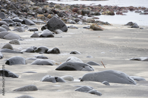 Küsten-Landschaft: einsame Bucht / Sandstrand mit Felsen und Watvögeln in den Westfjorden, Island