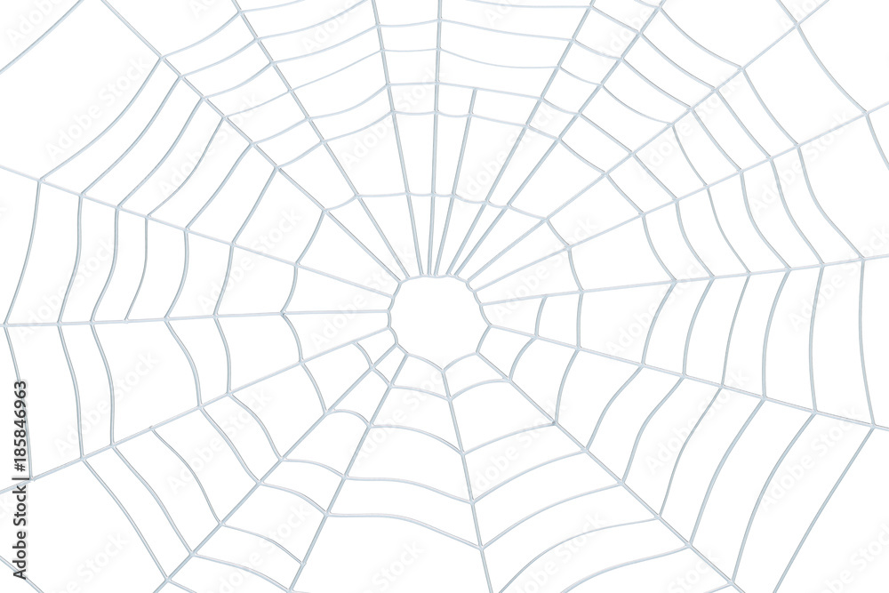 Spider Web closeup, 3D rendering Spider Web closeup, 3D rendering