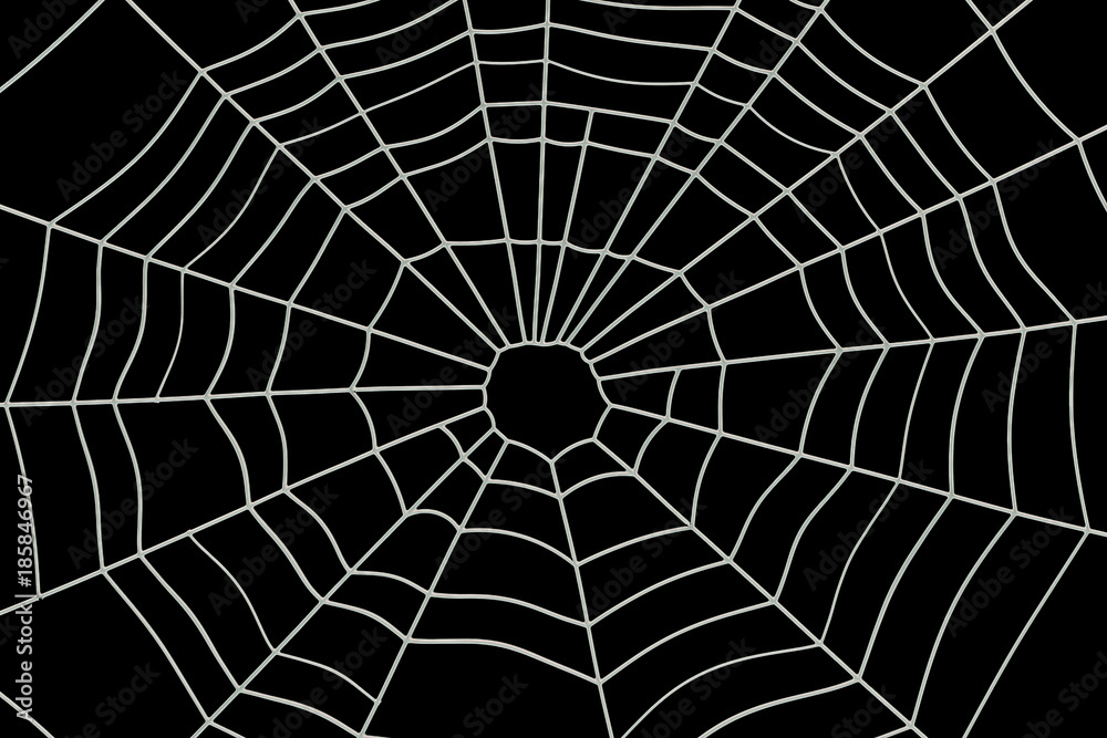 Obraz premium Spider Web, 3D rendering