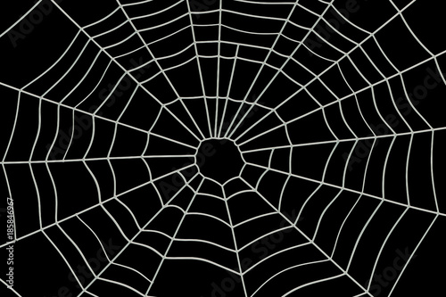 Spider Web, 3D rendering photo