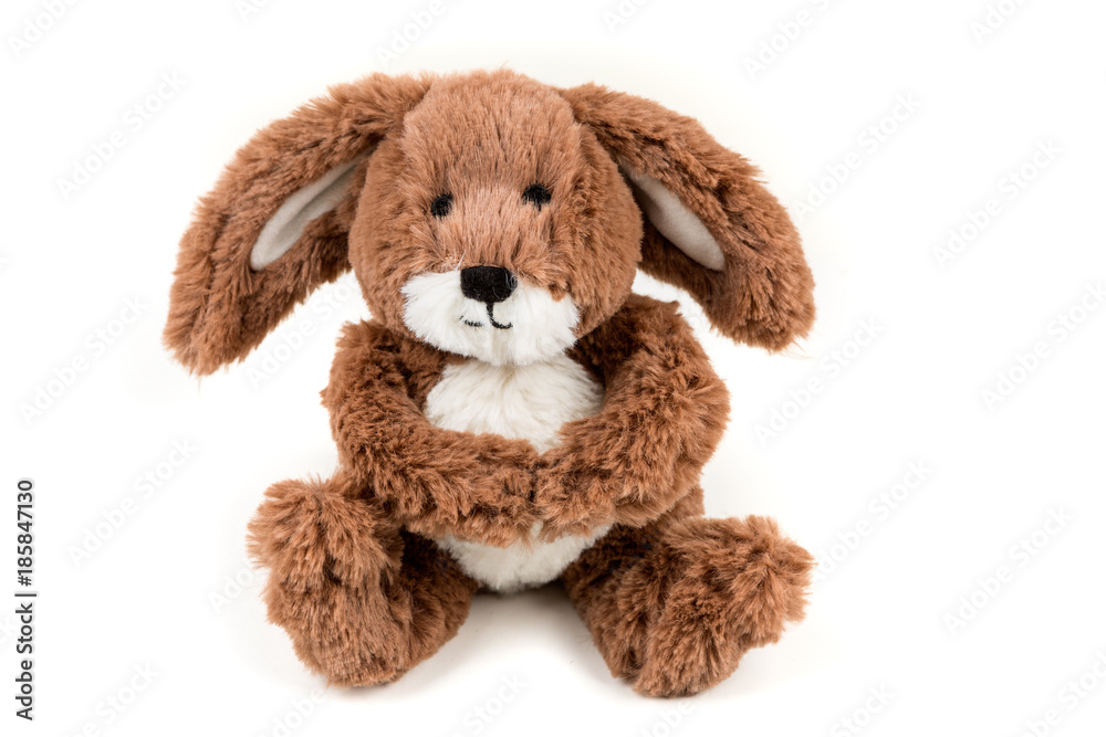 Obraz premium Fuzzy brown soft bunny on a white background