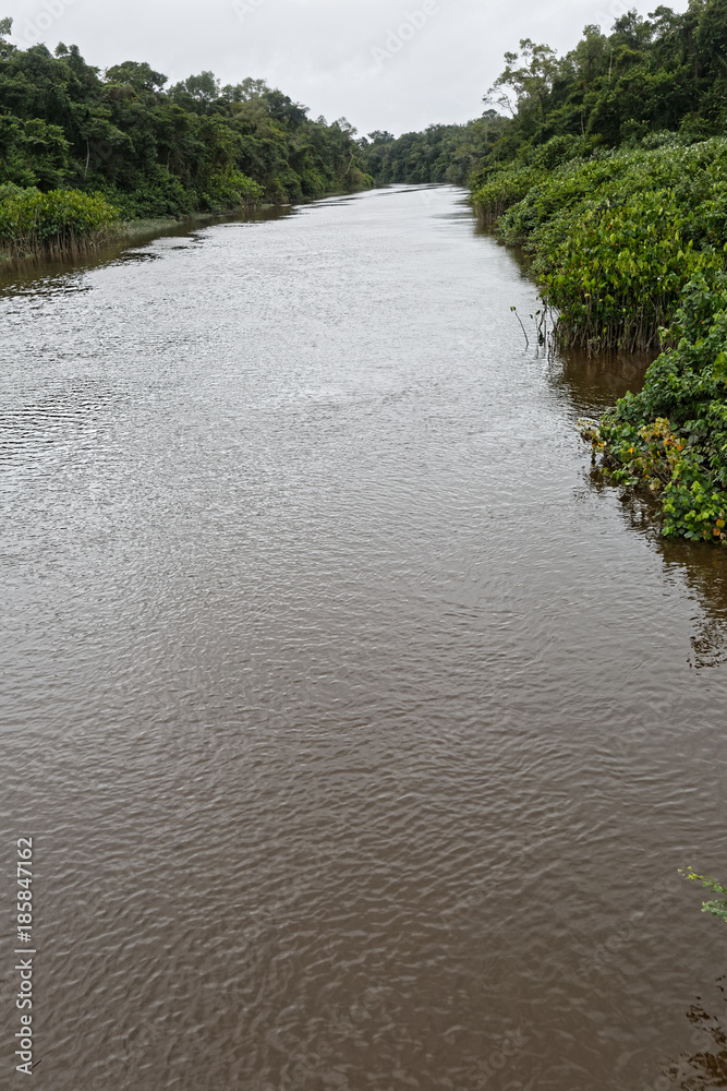 La rivière Counamama, affluent de la rivière Iracoubo, s'enfonce dans la forêt de la Guyane française