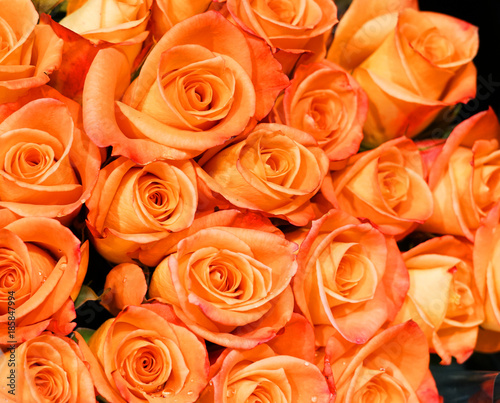 Fresh orange roses bouquet flower background 