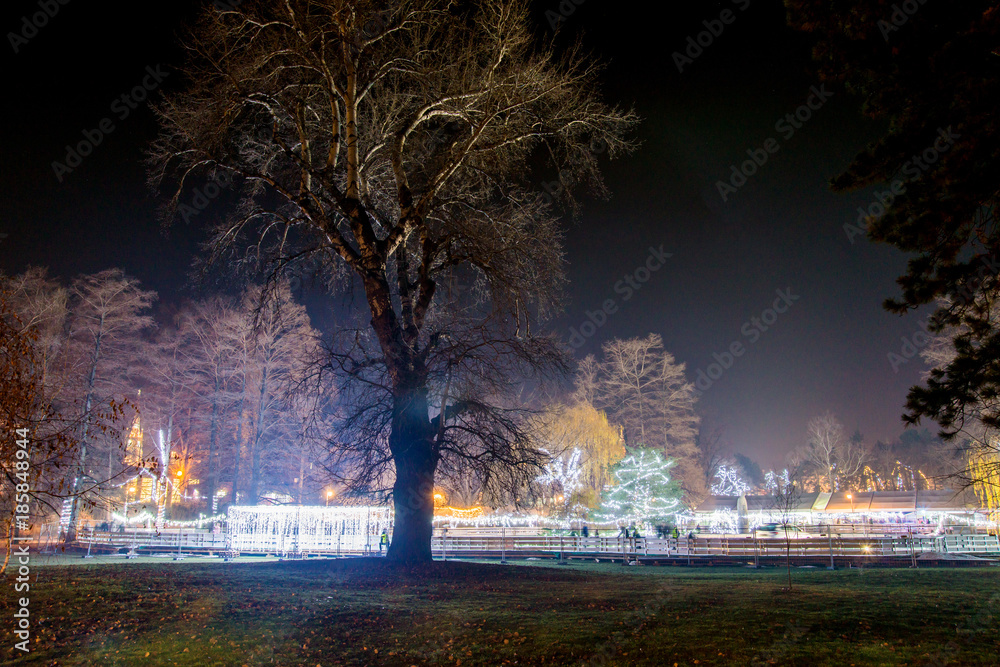 Novi Sad, Serbia December 25, 2017: The Danube Park in Novi Sad is decorated for the New Year's Eve