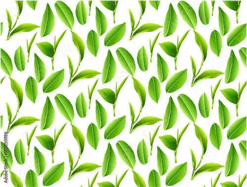 leaves green tea  isolated on white background.