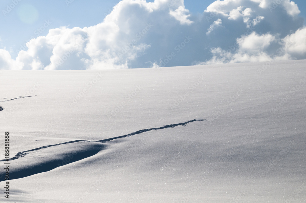 Fotografie 雪原