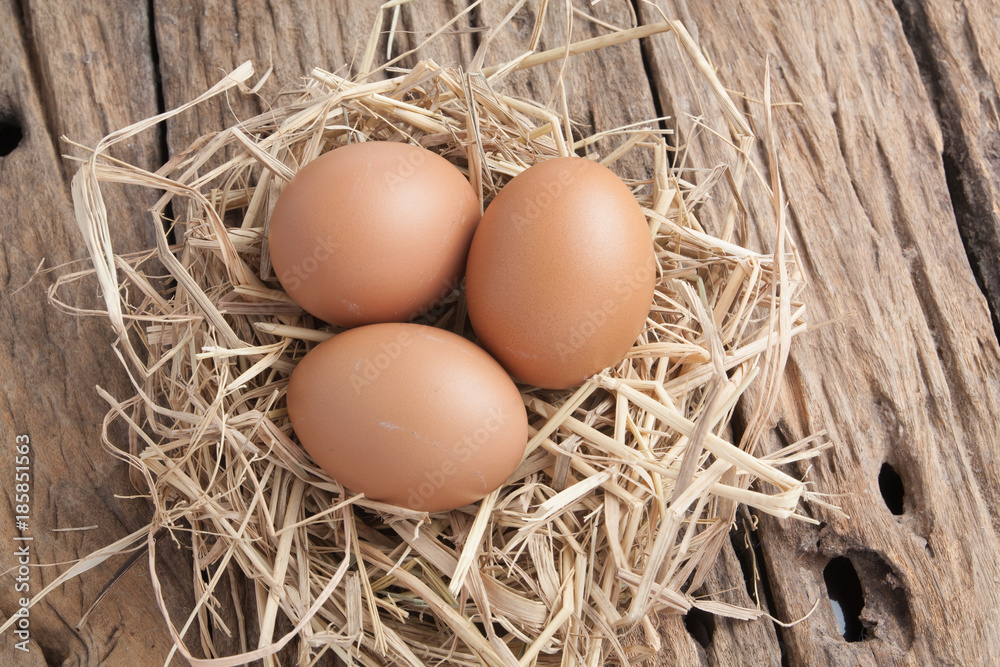 egg in hay nest on old wooden