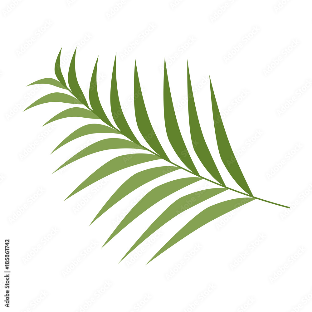 tropical palm leaf icon tropical palm leaf icon