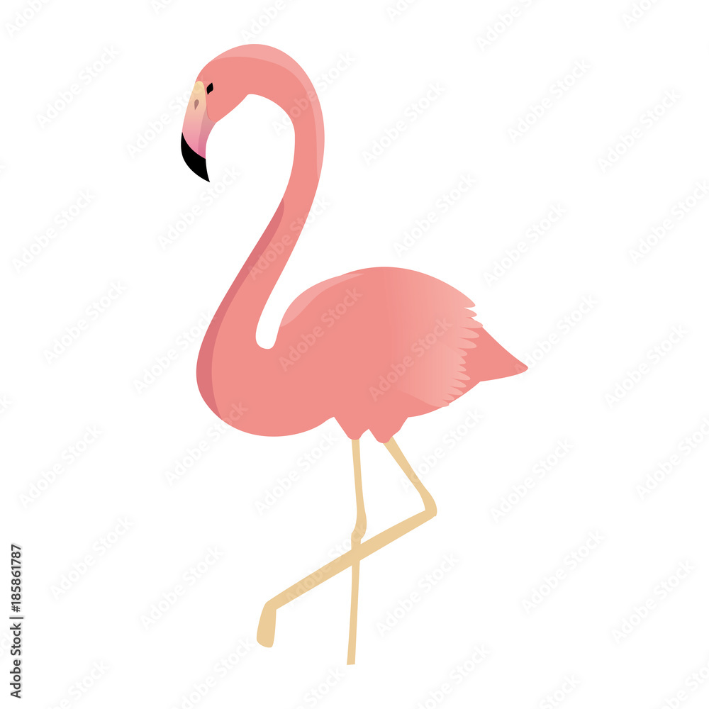 Fototapeta premium exotic bird flamingo icon