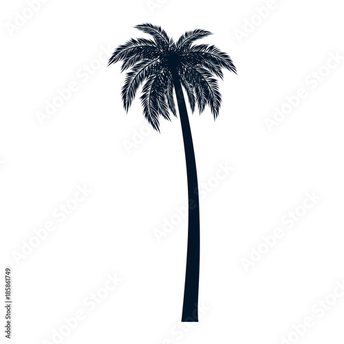 tropical palm tree icon