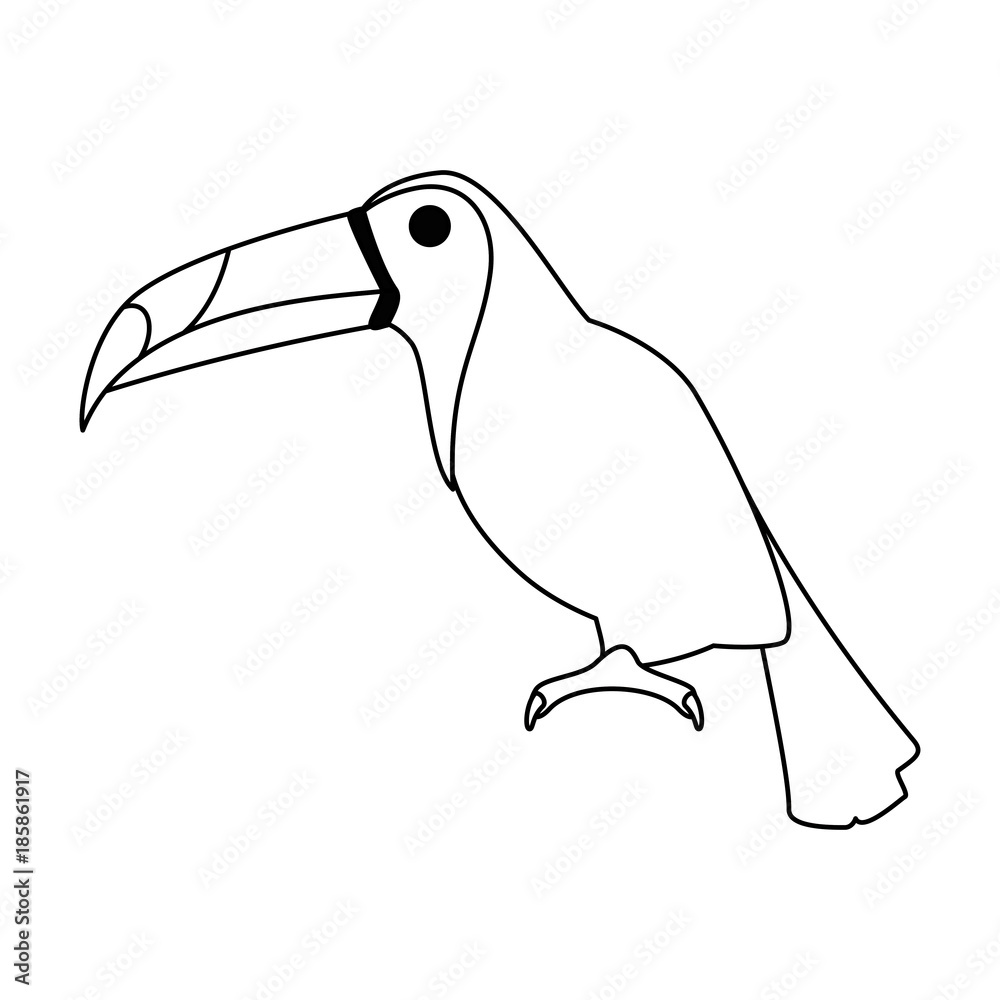 Obraz premium toucan exotic bird icon