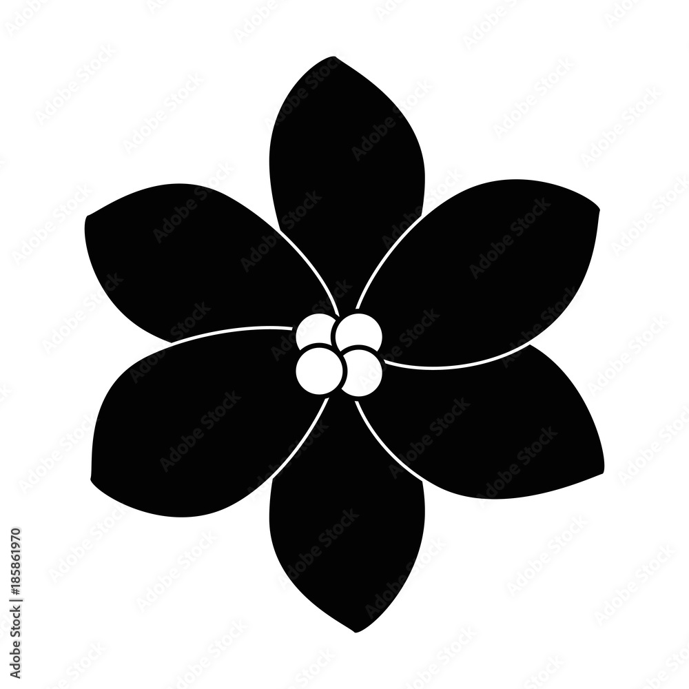 exotic and tropical flower exotic and tropical flower