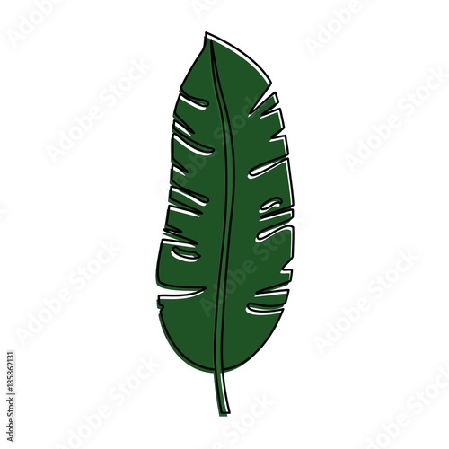 tropical palm leaf icon