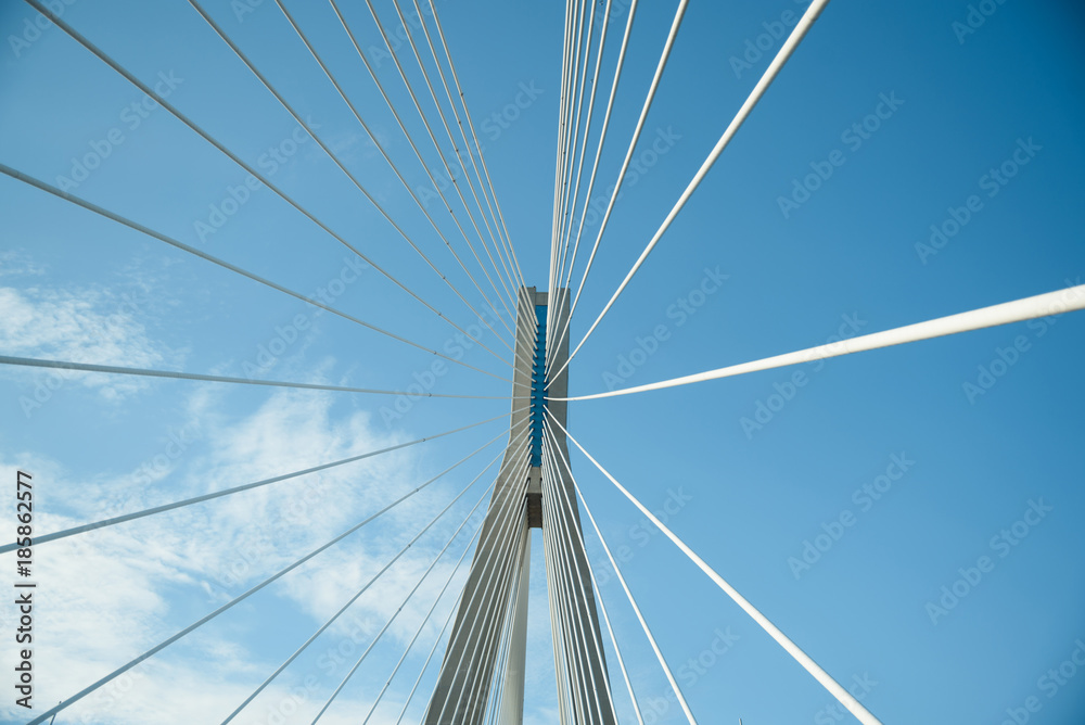 View on Top of Bridge