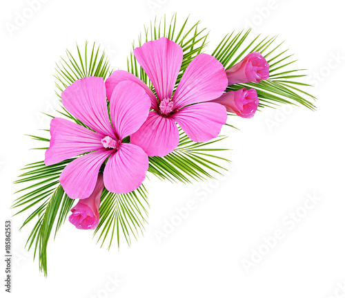 Palm leaves and pink wild f...