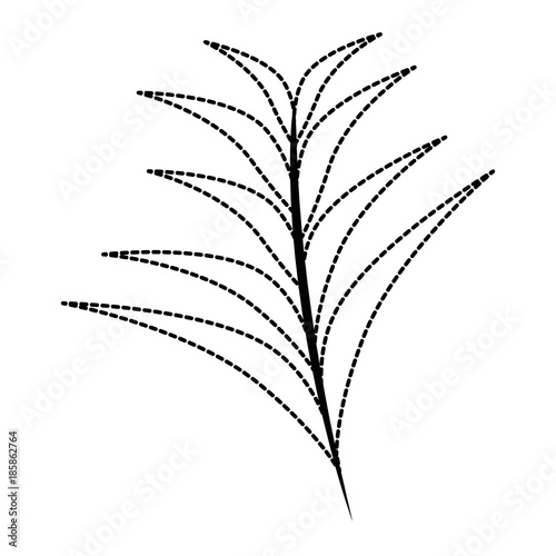 tropical palm leaf icon