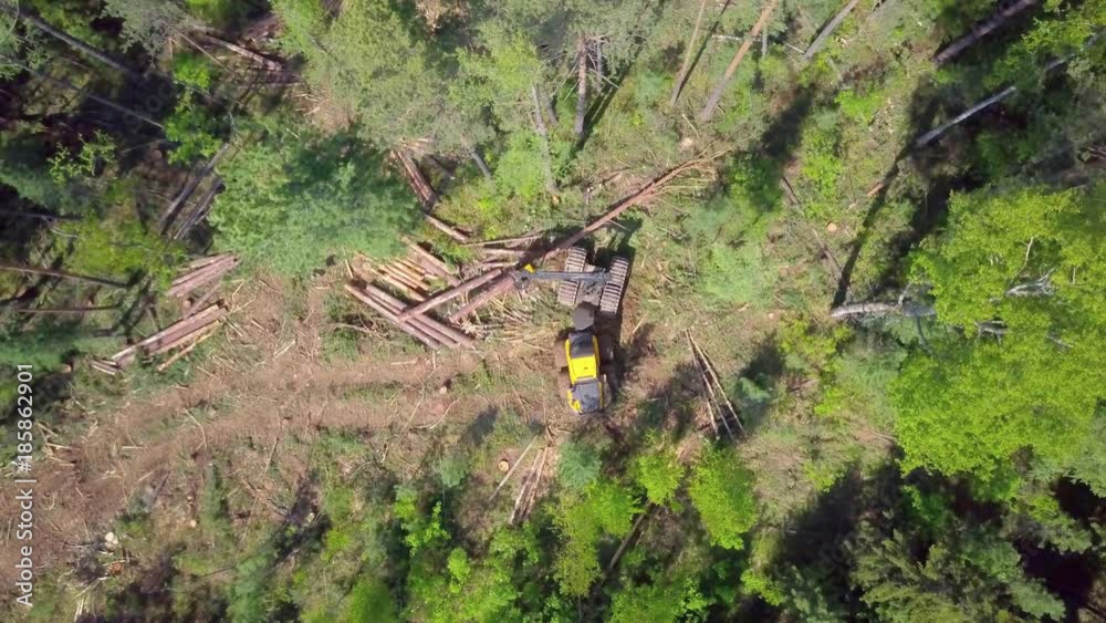 ProRes. Logging from aerial view, Siberian forest. ProRes. Logging from aerial view, Siberian forest.