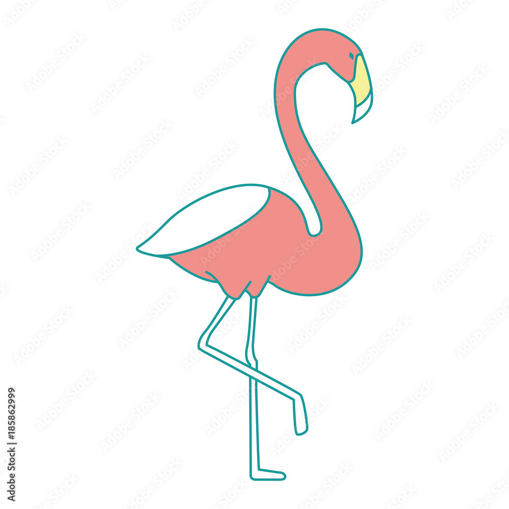 Obraz premium exotic bird flamingo icon