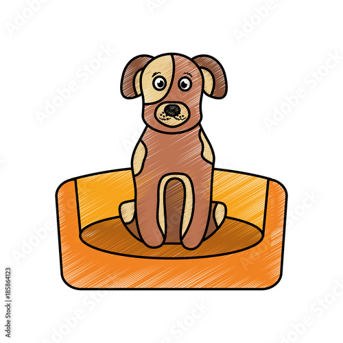 dog sitting in the bed pet animal vector illustration