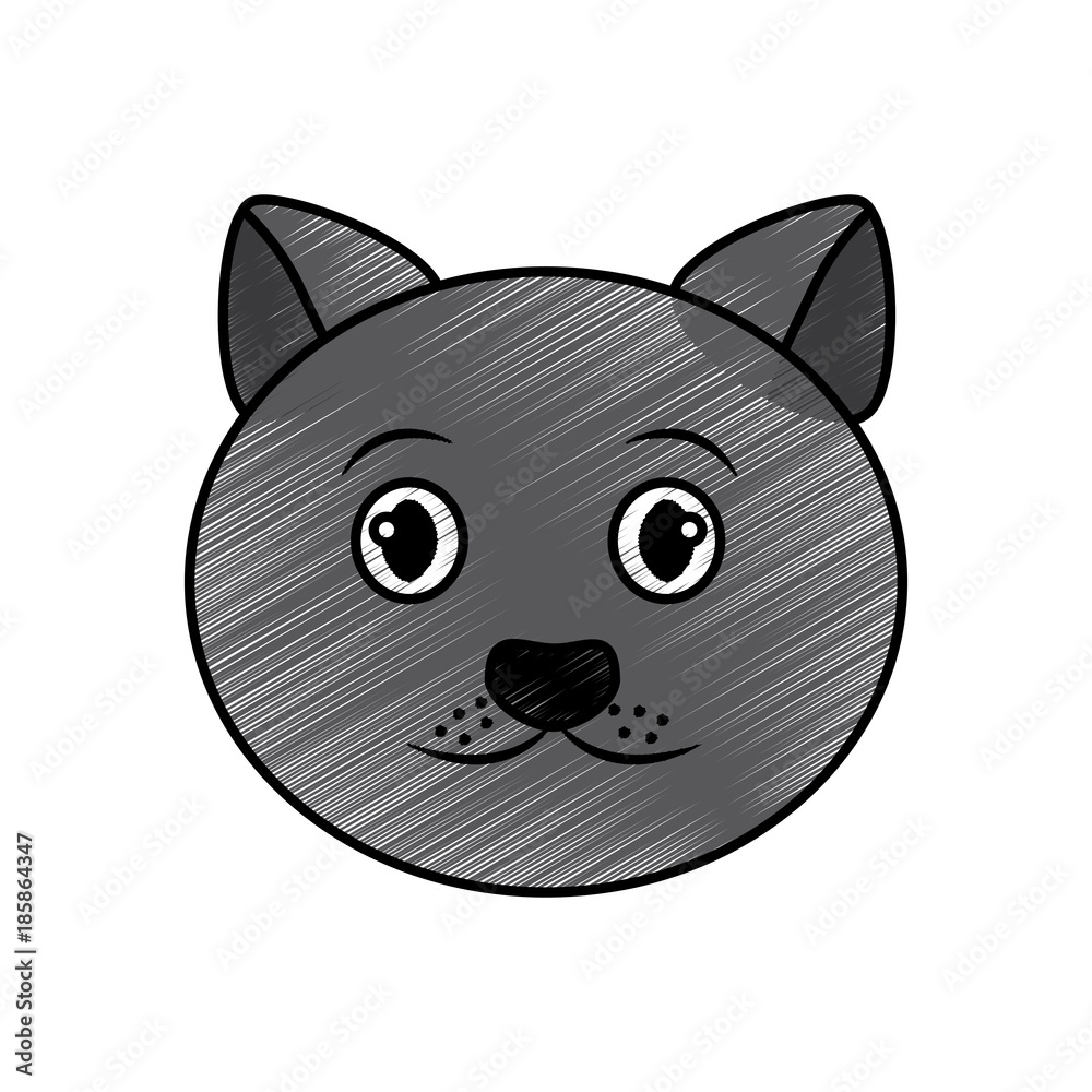 cat pet head cute animal vector illustration cat pet head cute animal vector illustration