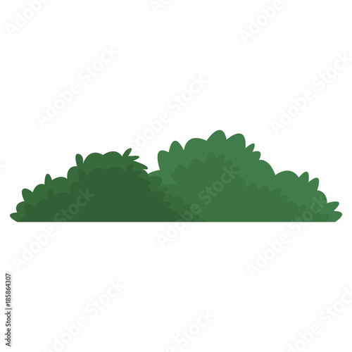 Obraz na plátne Bush isolated symbol icon vector illustration graphic design