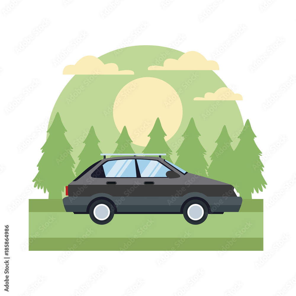 Car sideview vehicle In the forest icon vector illustration