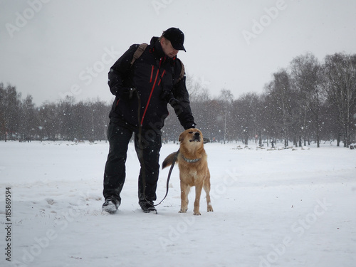 The owner strokes a big happy dog for a walk