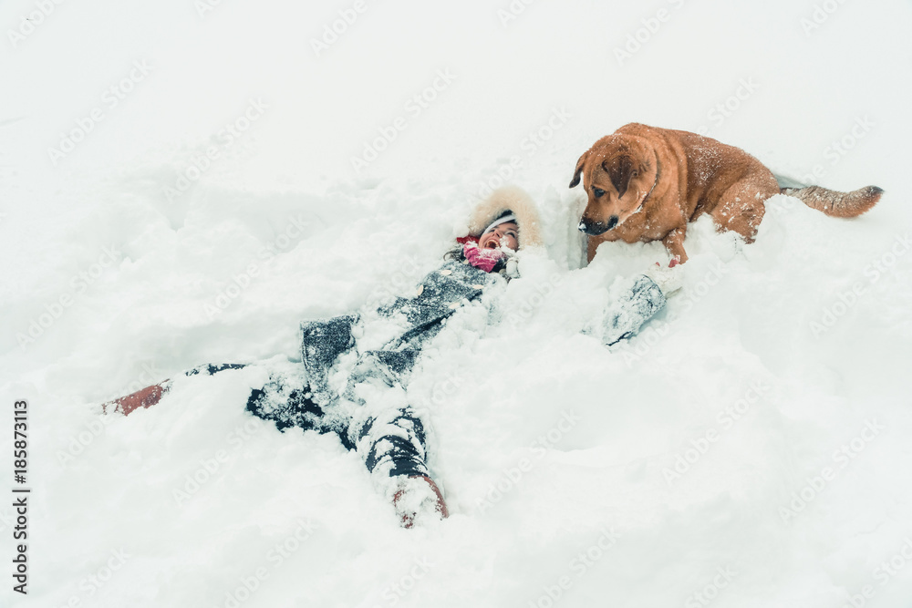 Winter. A girl is walking a dog in snowy weather