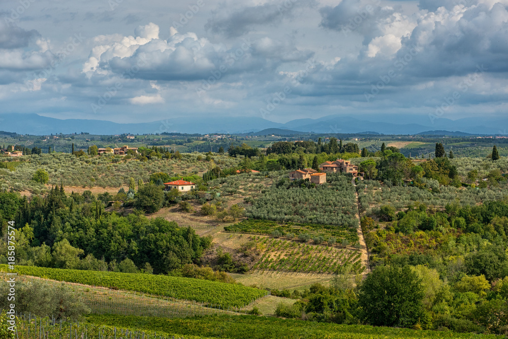 Panoramic view of scenic Tuscany landscape with vineyard in the Chianti region, Tuscany