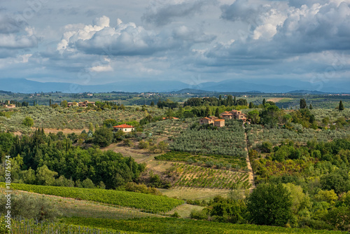 Panoramic view of scenic Tuscany landscape with vineyard in the Chianti region, Tuscany