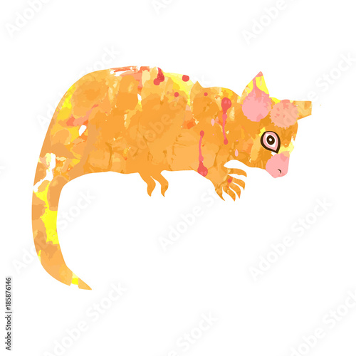 Kuzu, brush-tailed tails, brush-tailed possums, brush-tailed couscous are the genus of mammals of the family of possums