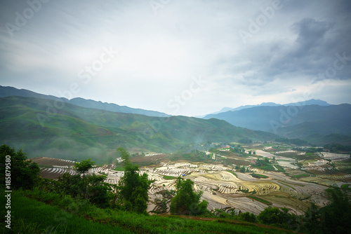 Terraced rice field in water season  the time before starting grow rice in Y Ty  Lao Cai province  Vietnam