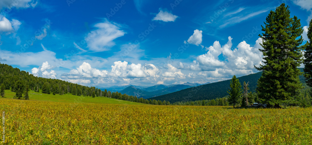 Fototapeta premium Mountain pass, Altay, Siberia, Russia, Autumn