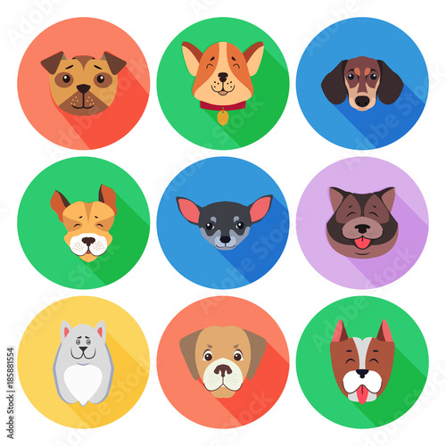 Fototapeta Naklejka Na Ścianę i Meble -  Set of Pedigreed Dogs on Colored Circle Icons