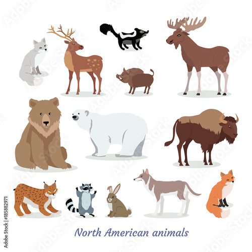 North American Animals Cartoon Flat Icons Set 