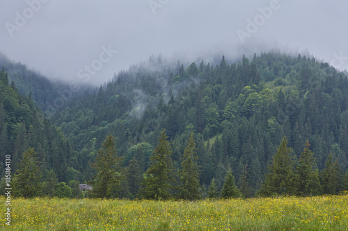 Misty dawn in the mountains