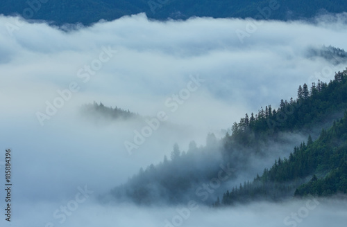 Fantastic foggy day and bright hills by sunlight. Dramatic morning scenery. © Ryzhkov Oleksandr
