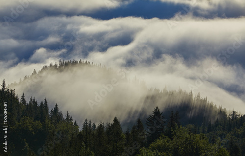 Misty dawn in the mountains