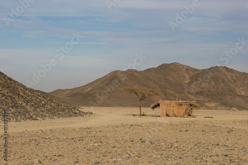 Cabin in the desert